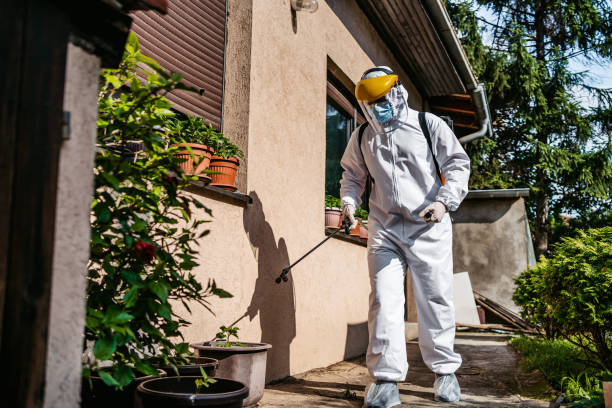 Trusted Chickasaw, AL Pest Control Experts