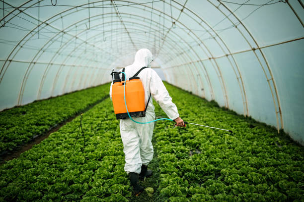 Best Local Pest Control Services  in Chickasaw, AL