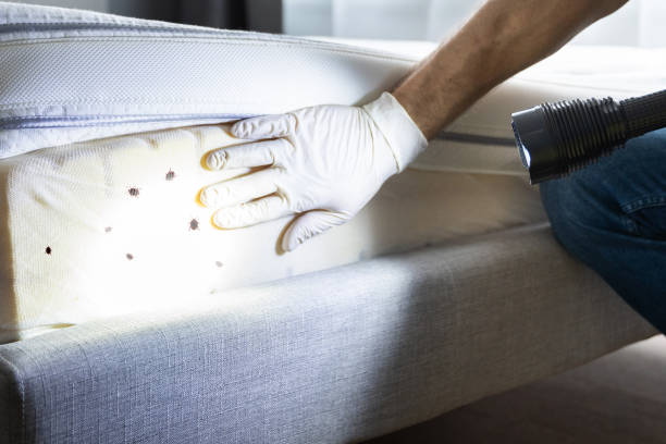 Best Affordable Pest Control Services  in Chickasaw, AL