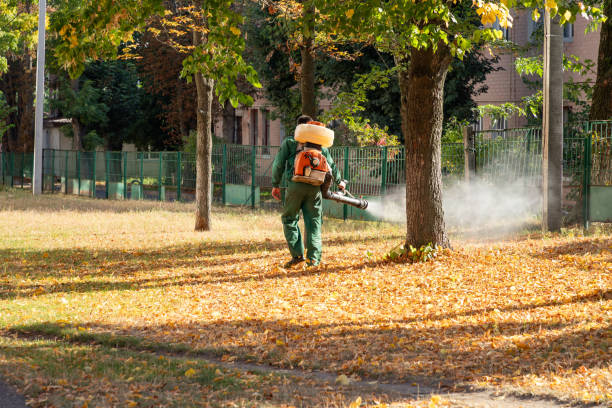 Best Rat Extermination Near Me  in Chickasaw, AL