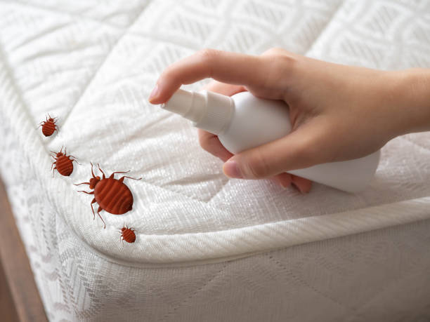 Best Best Pest Control Companies  in Chickasaw, AL
