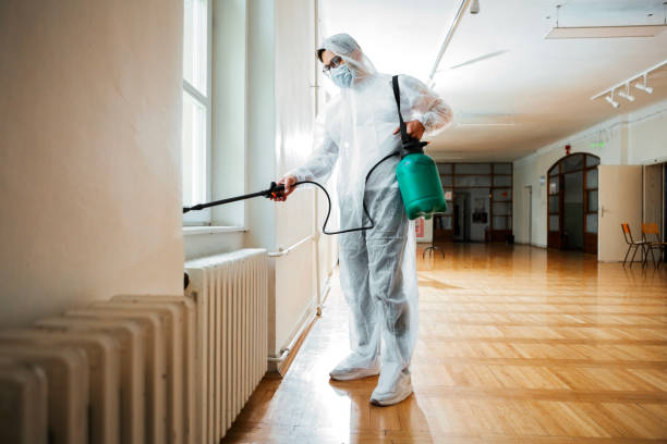 Best Ant Control Services  in Chickasaw, AL