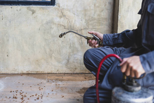 Best Pest Control Near Me  in Chickasaw, AL